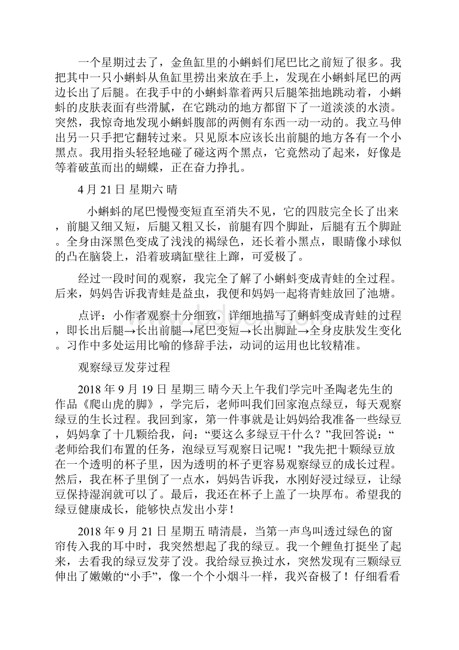 四年级上册语文《习作写观察日记》知识点精讲 图文解读 人教部编版.docx_第3页