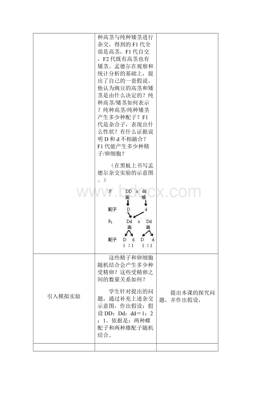 性状分离比的模拟实验教案.docx_第3页