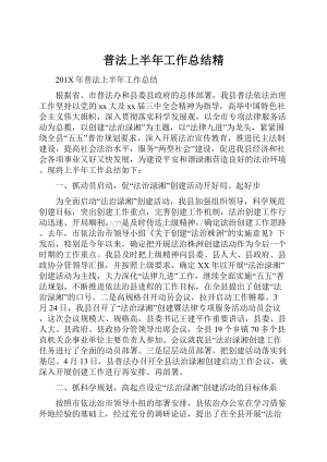 普法上半年工作总结精.docx