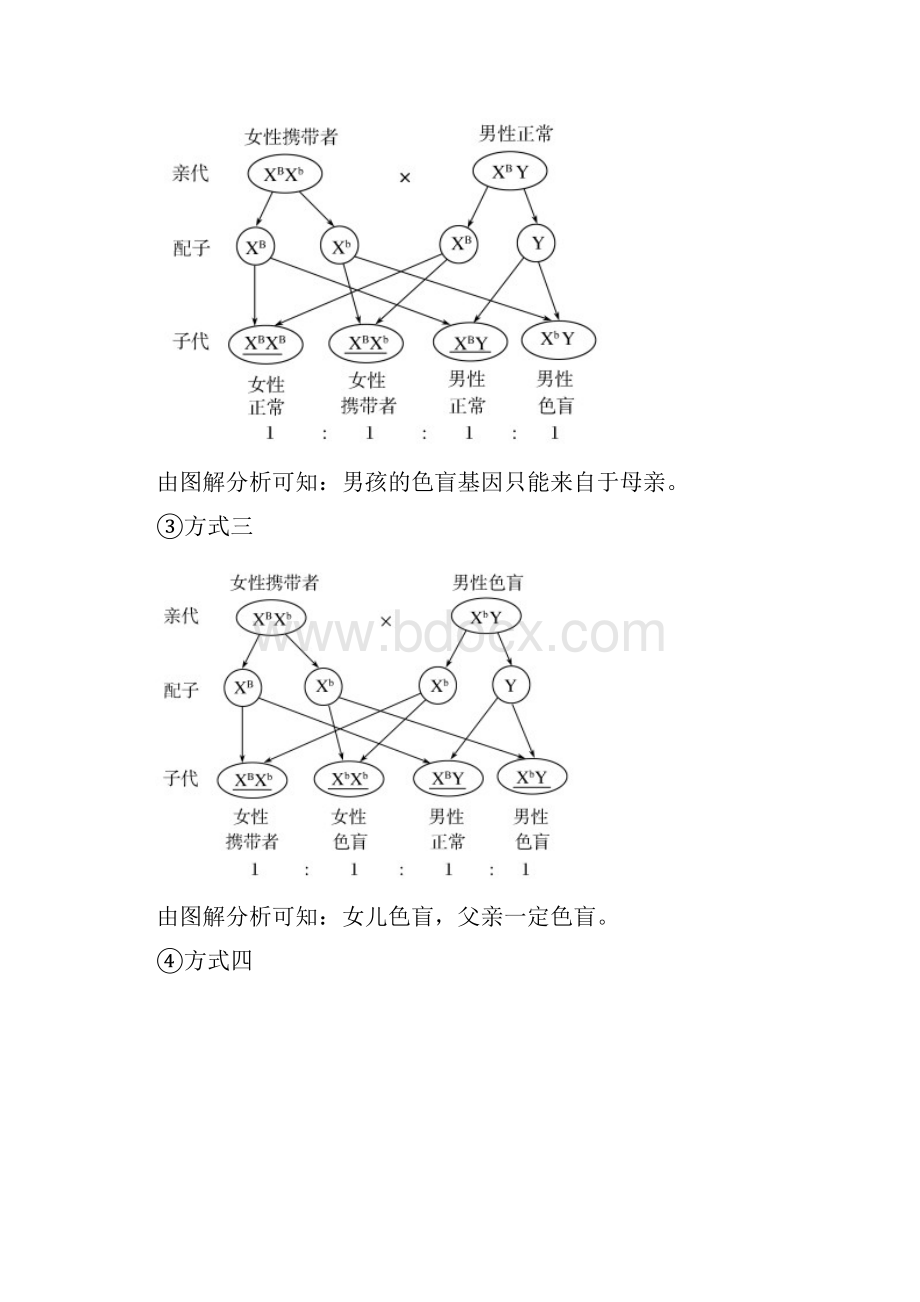 最新 人教版必修二 伴性遗传教案.docx_第3页