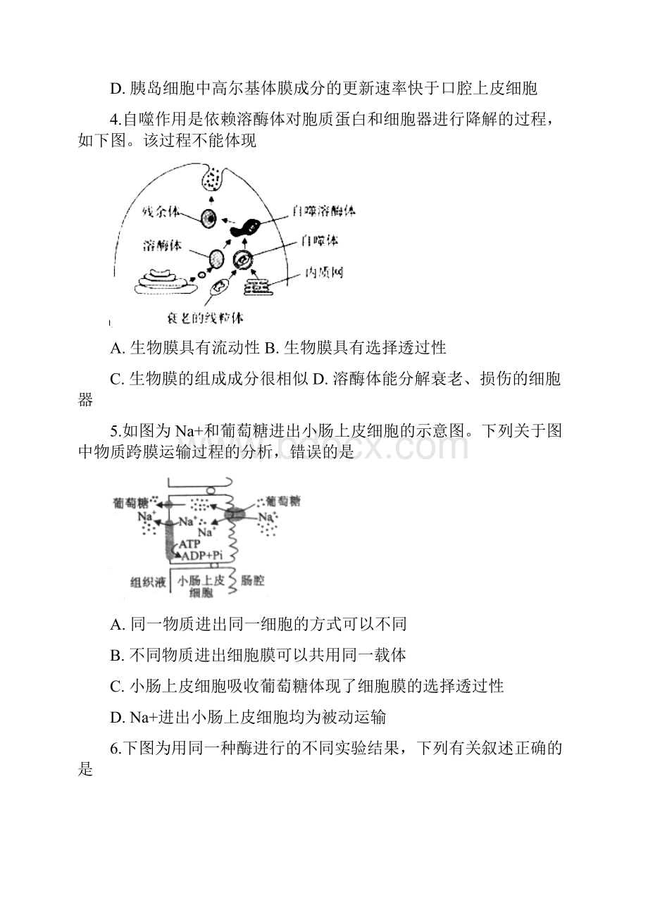 安徽适东县高级中学届高三生物调研考试试题.docx_第2页