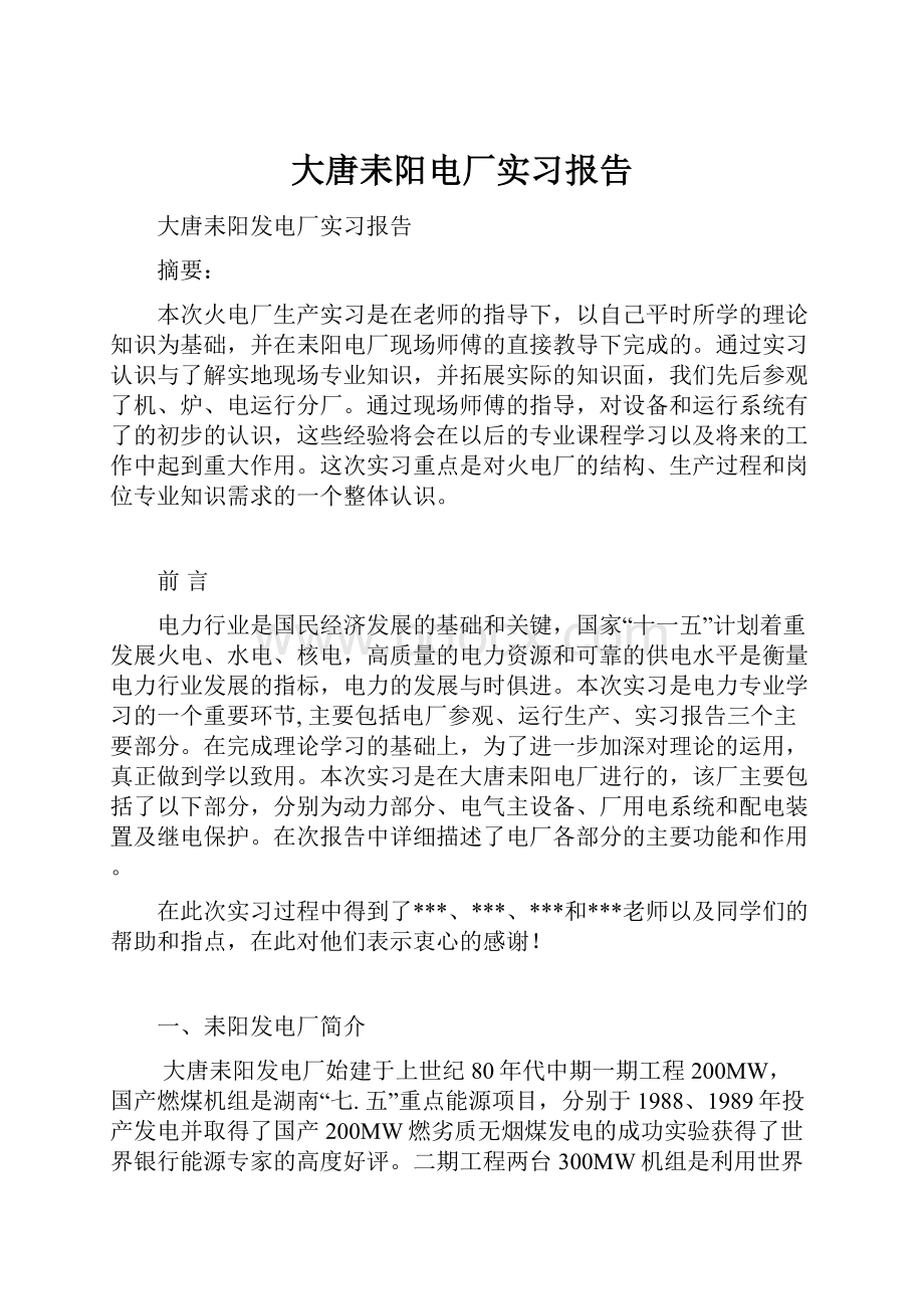 大唐耒阳电厂实习报告.docx