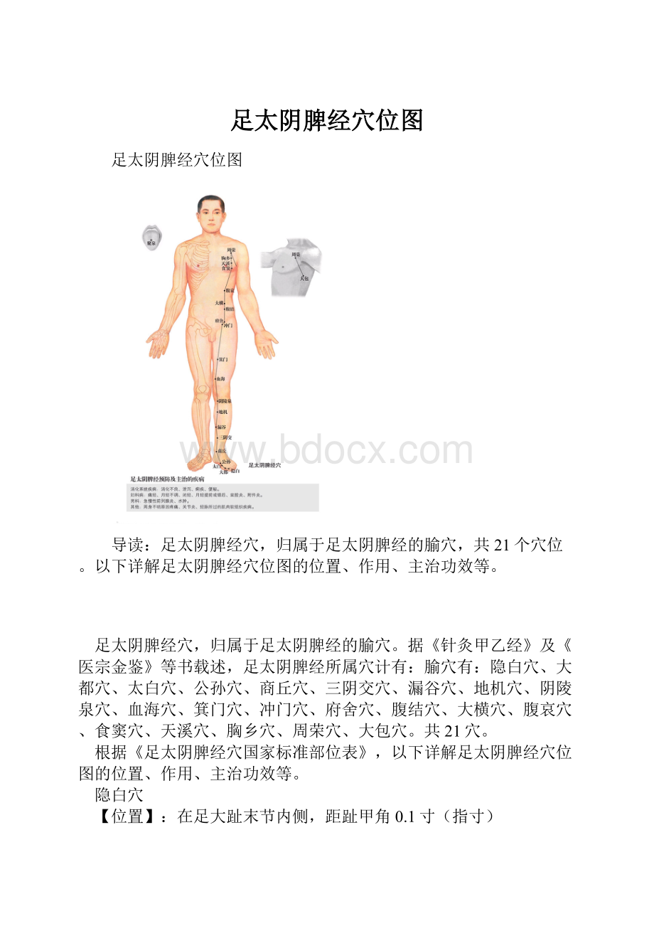 足太阴脾经穴位图.docx