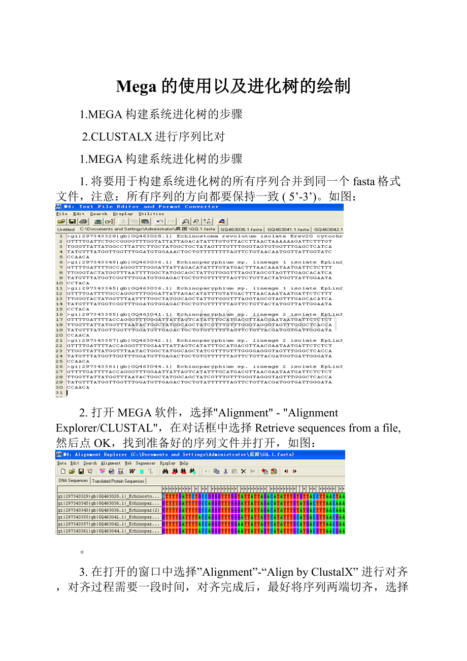 Mega的使用以及进化树的绘制.docx