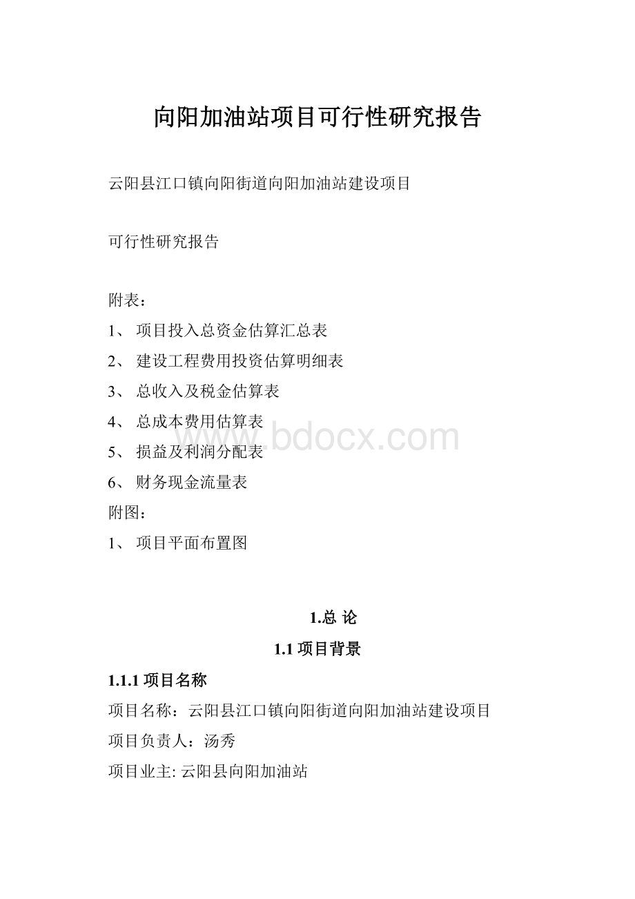 向阳加油站项目可行性研究报告.docx