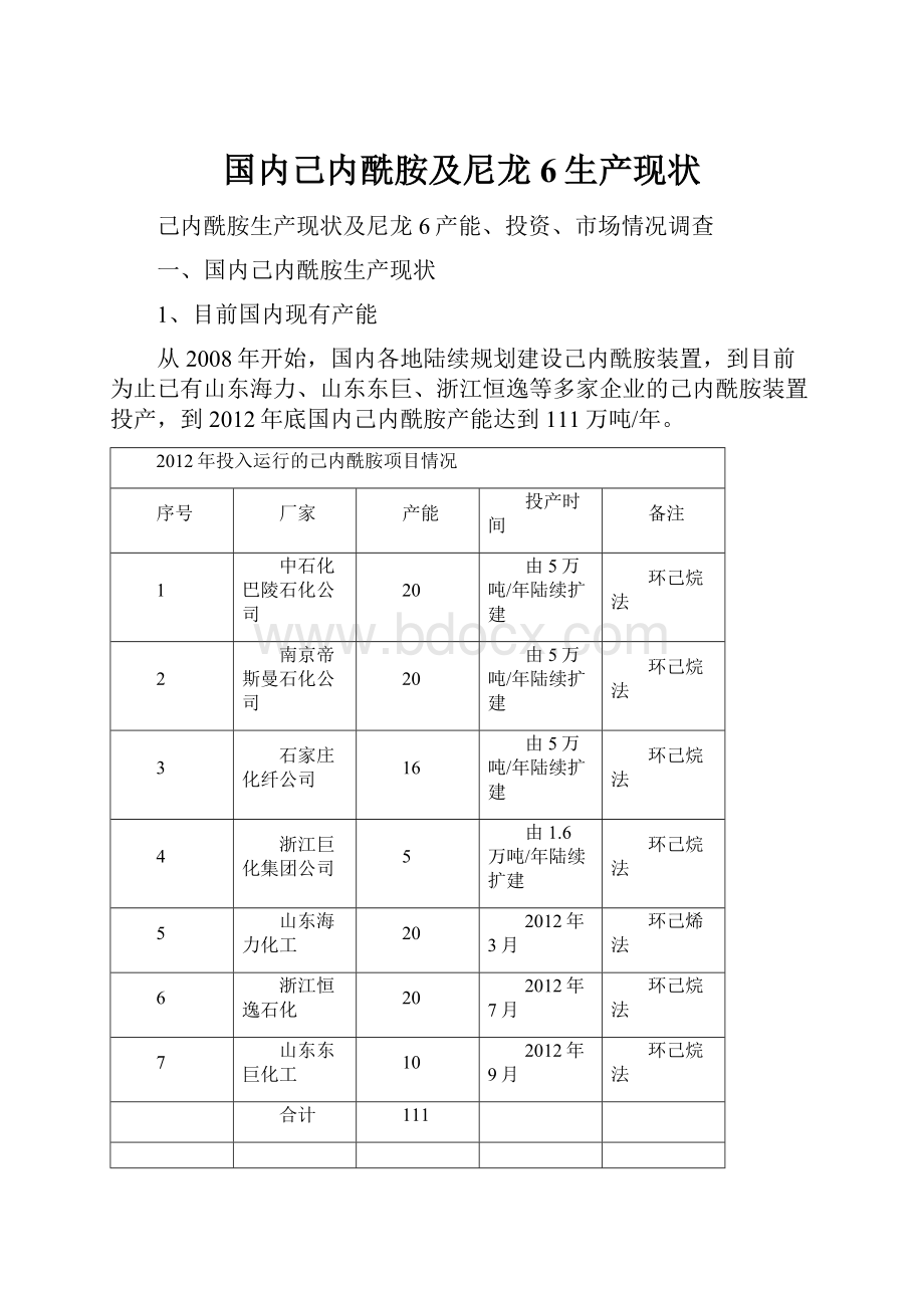 国内己内酰胺及尼龙6生产现状.docx_第1页