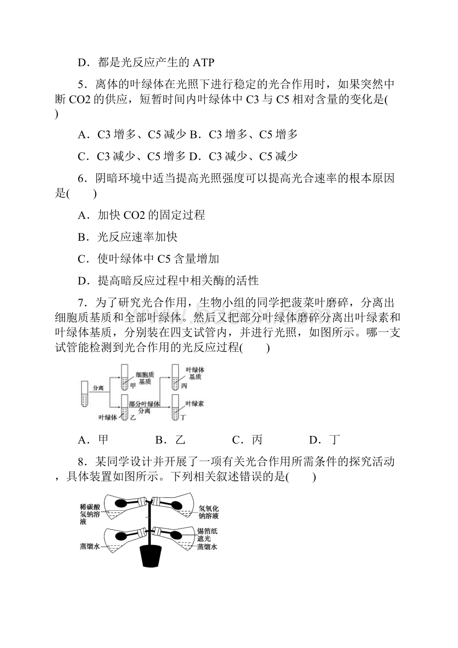 高中生物人教版必修一课时作业54光合作用与能量转化 光合作用的原理和应用.docx_第2页