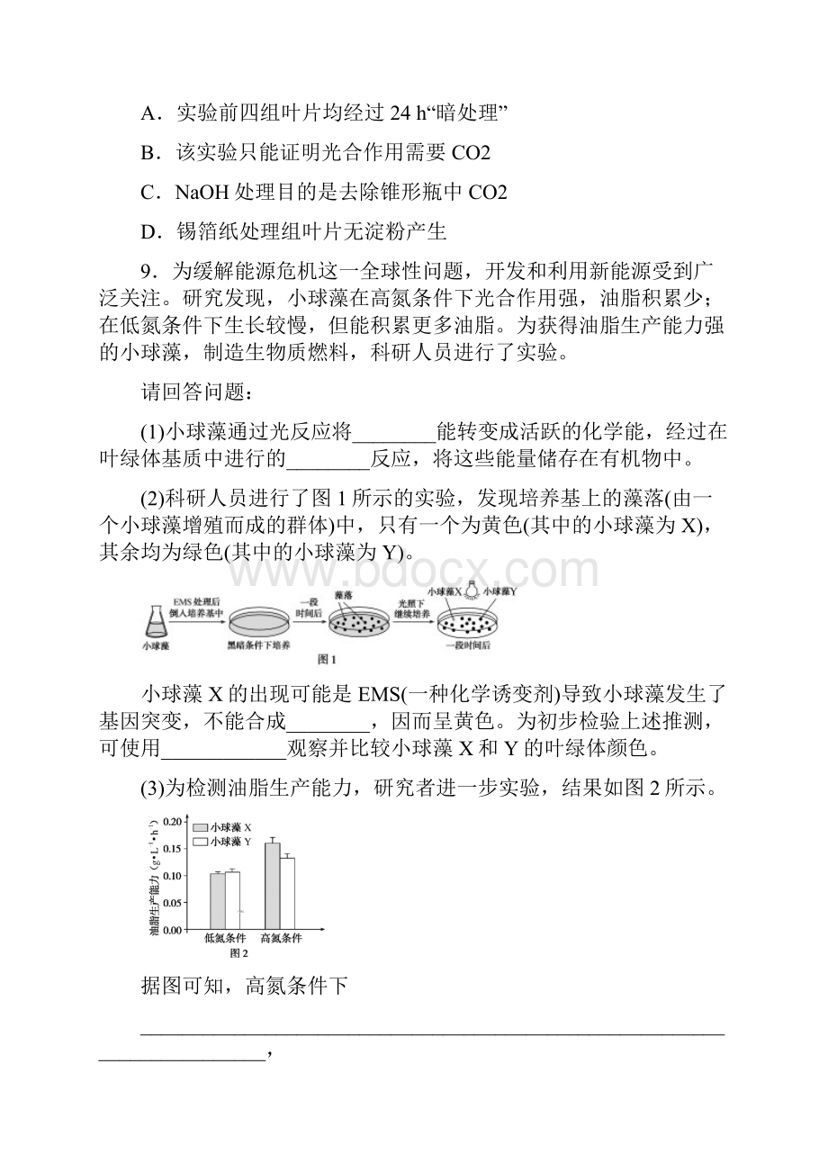 高中生物人教版必修一课时作业54光合作用与能量转化 光合作用的原理和应用.docx_第3页