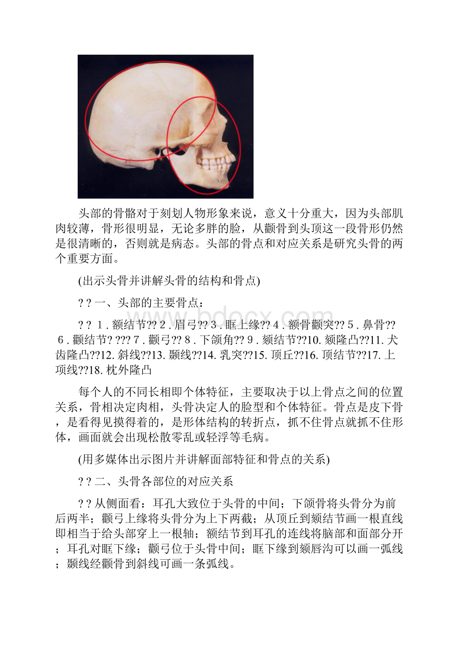 头部的解剖结构和形体结构.docx_第2页