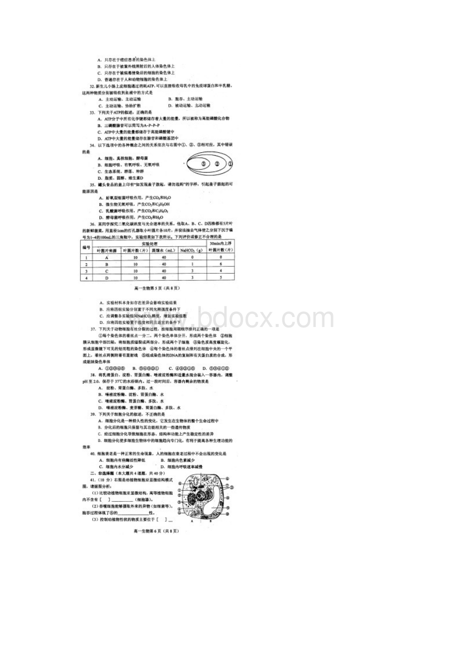 高一上学期期末质量评估生物试题.docx_第3页