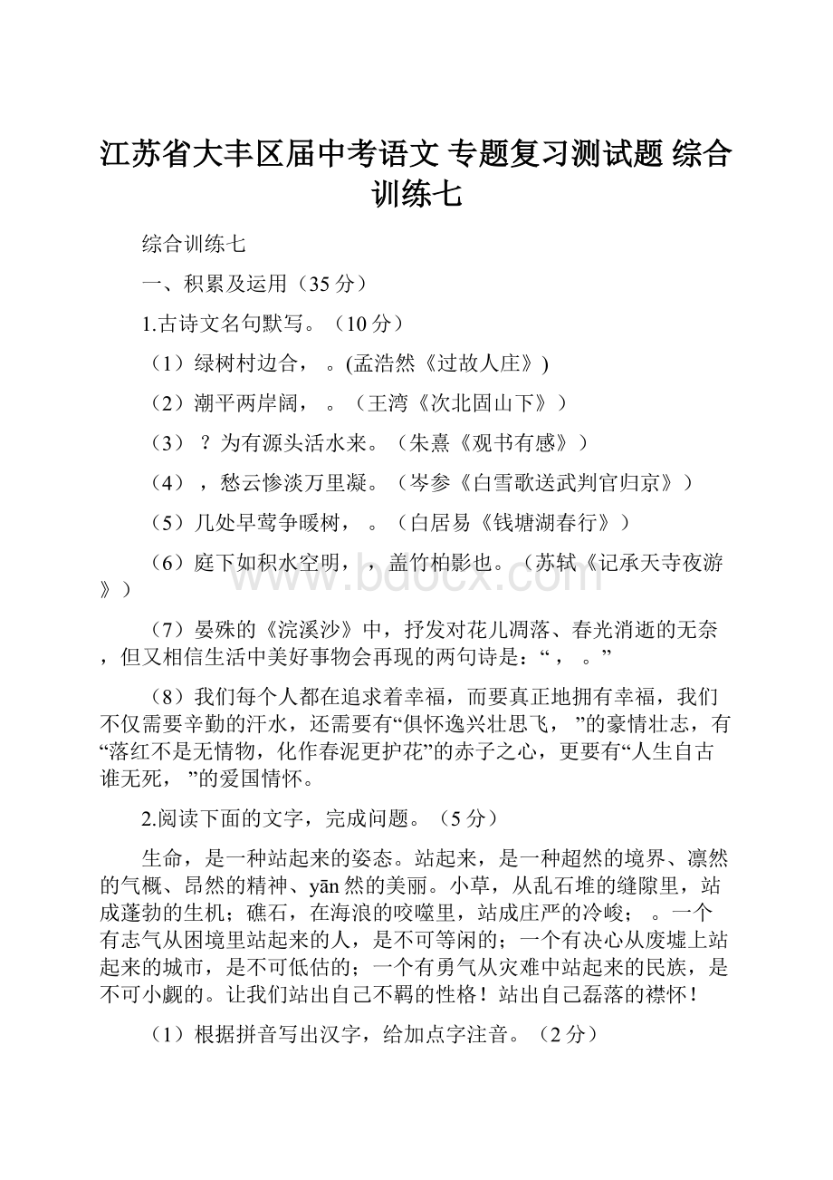 江苏省大丰区届中考语文 专题复习测试题 综合训练七.docx