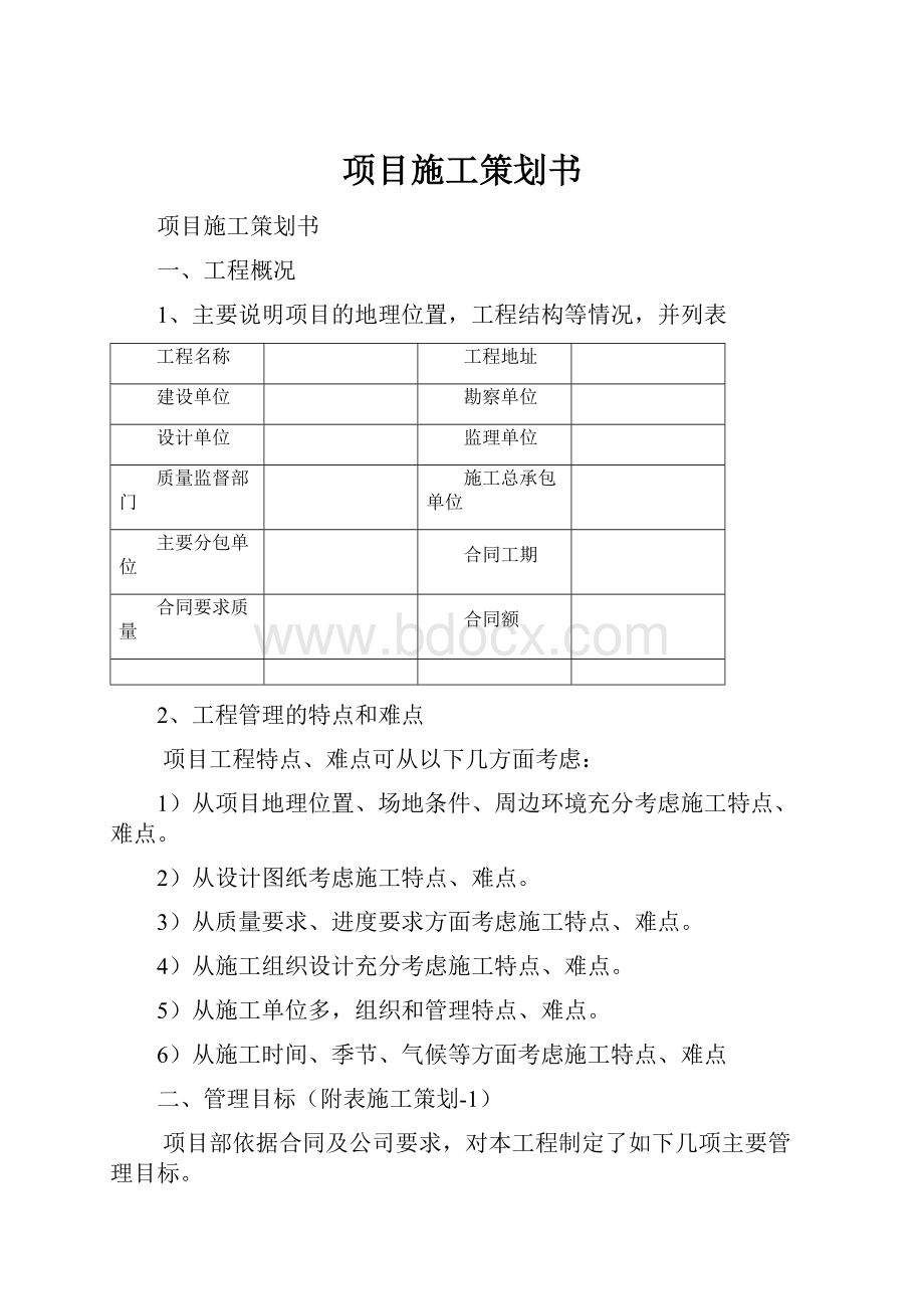 项目施工策划书.docx_第1页