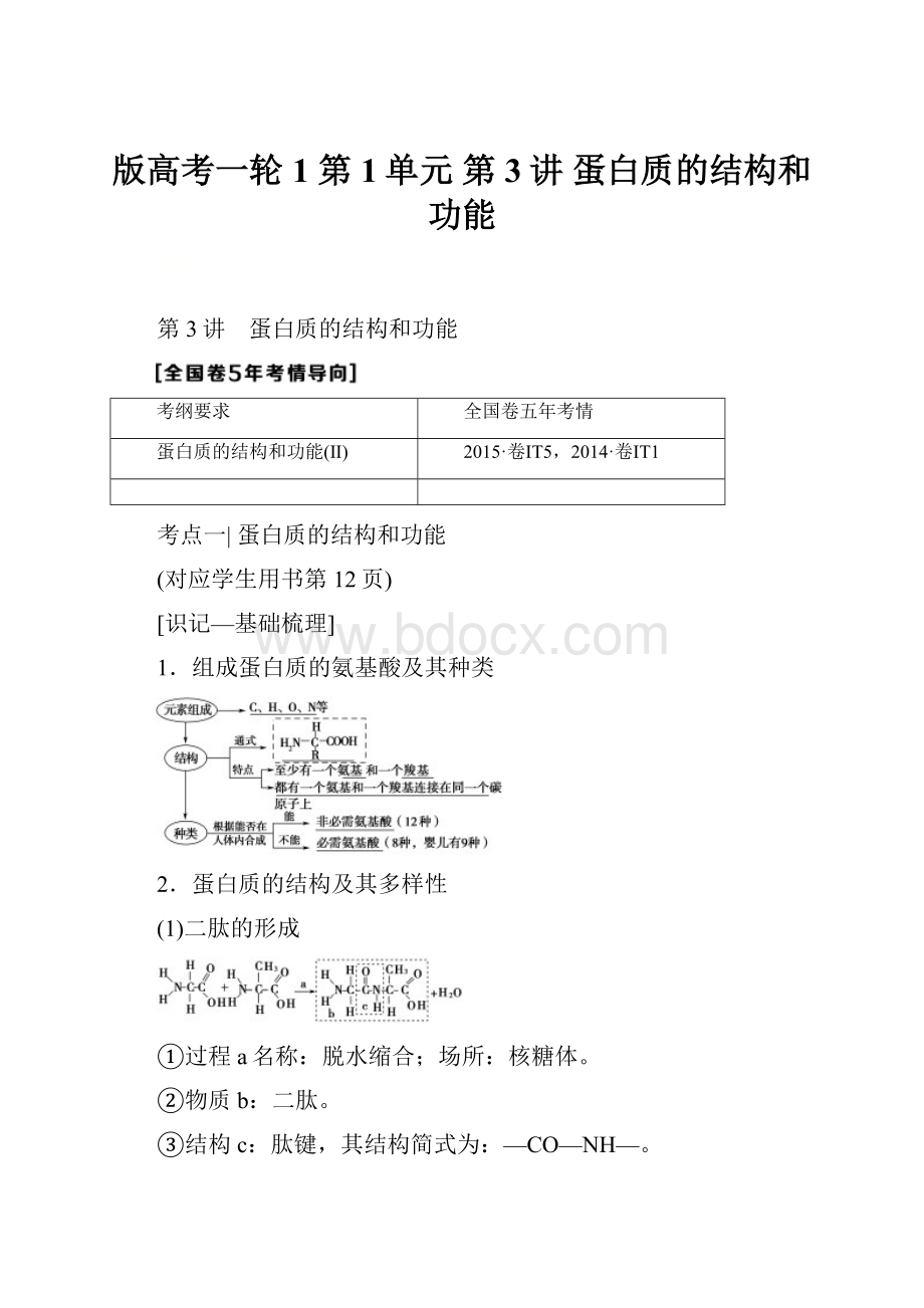 版高考一轮1 第1单元 第3讲 蛋白质的结构和功能.docx