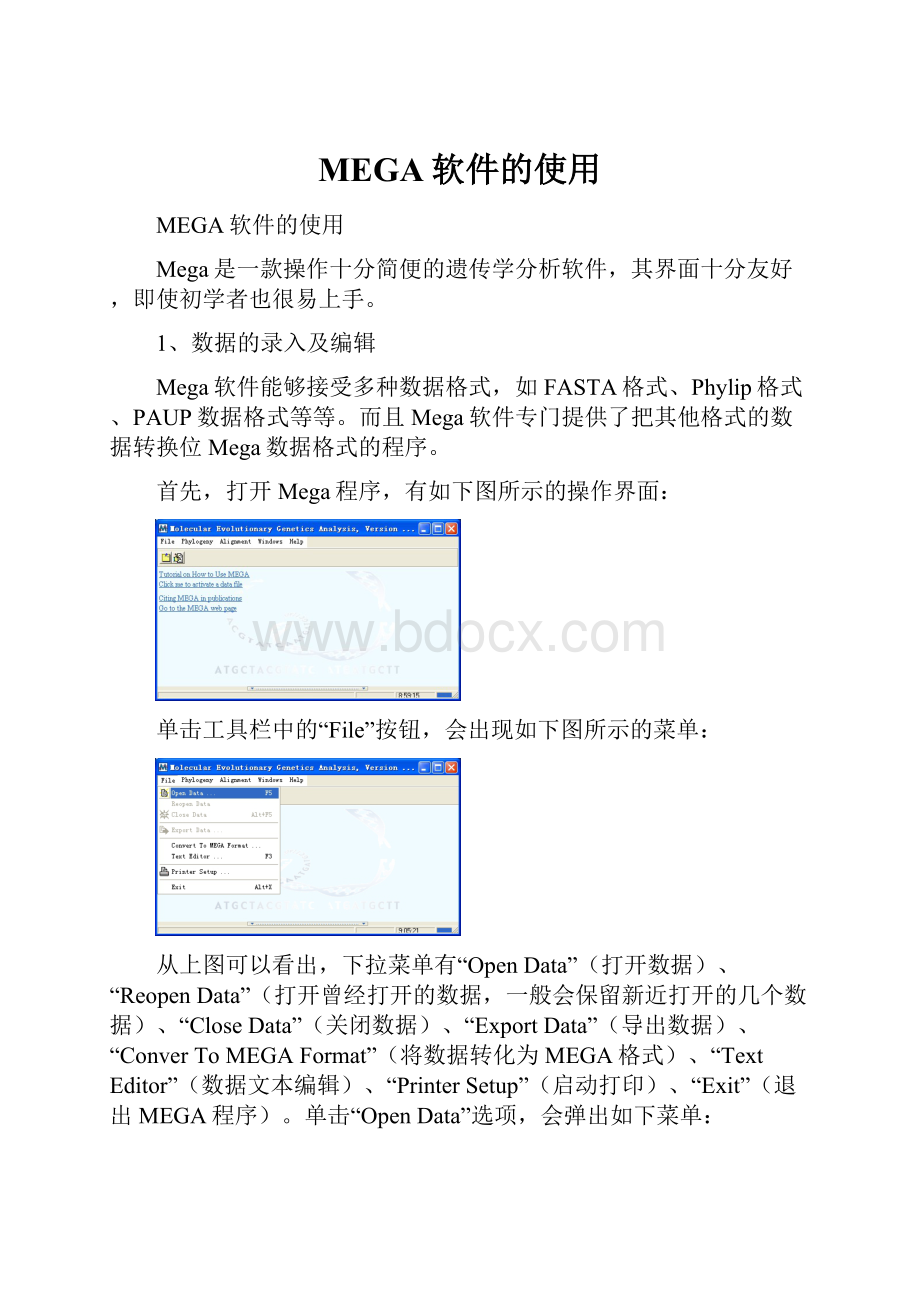 MEGA软件的使用.docx