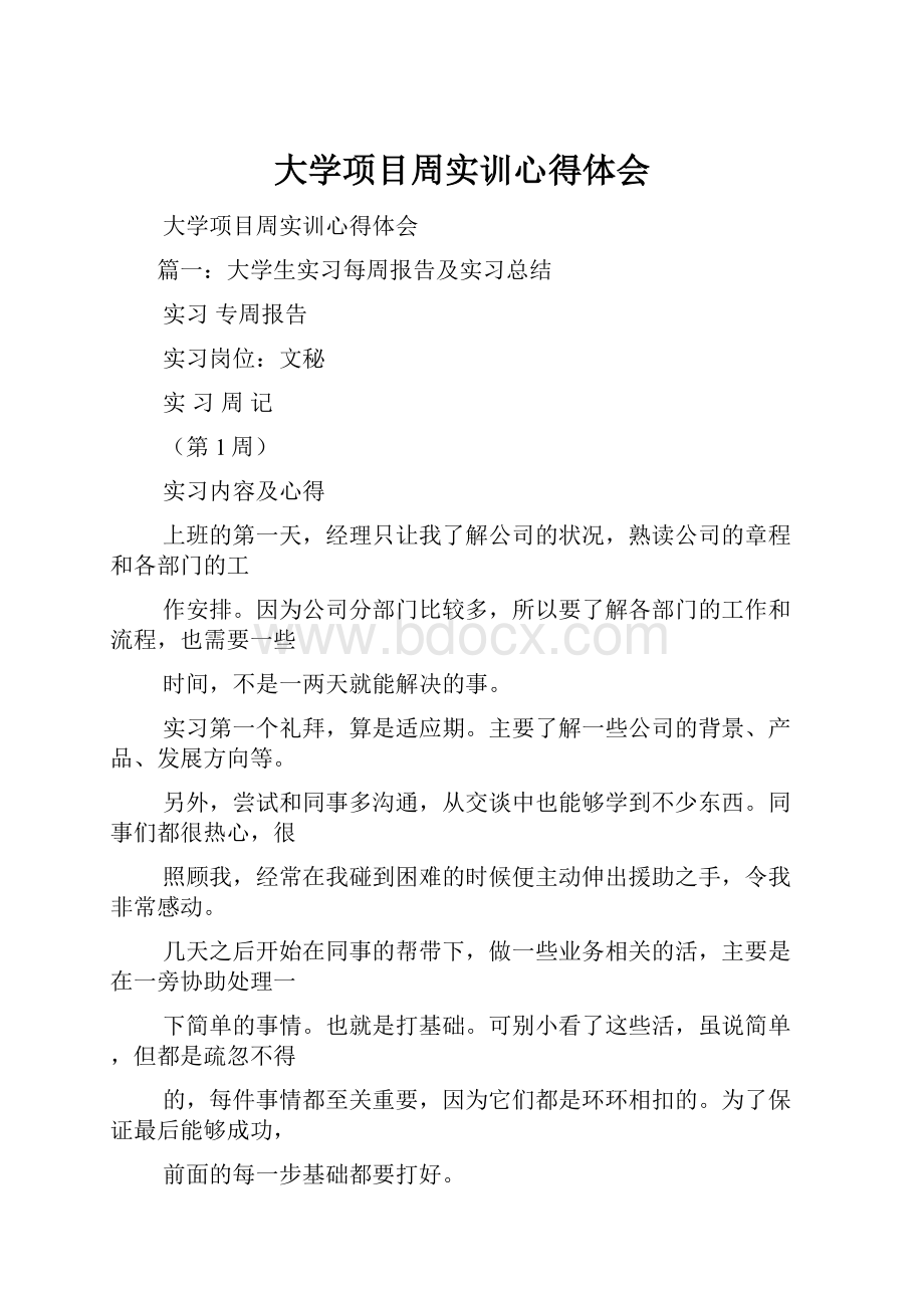 大学项目周实训心得体会.docx