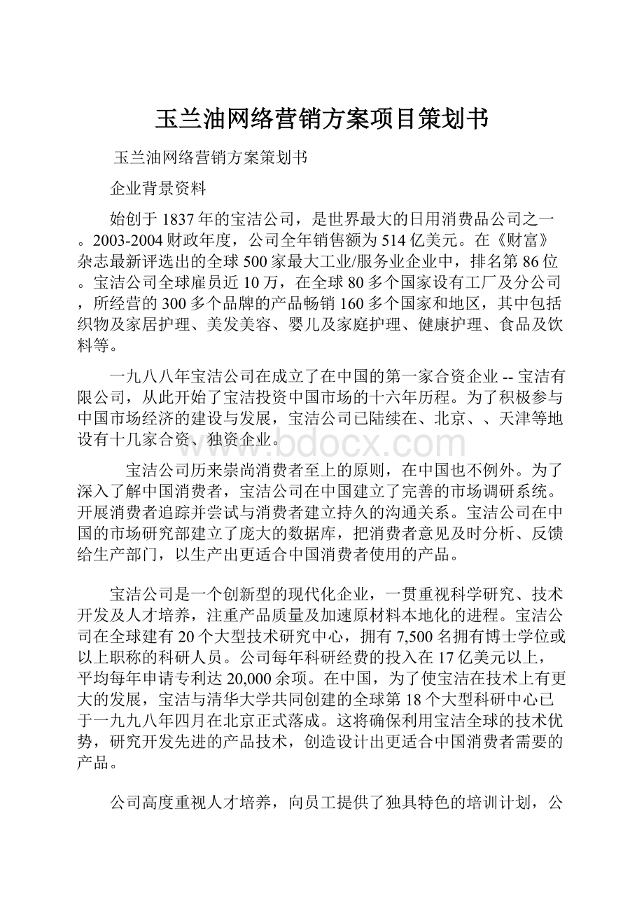 玉兰油网络营销方案项目策划书.docx