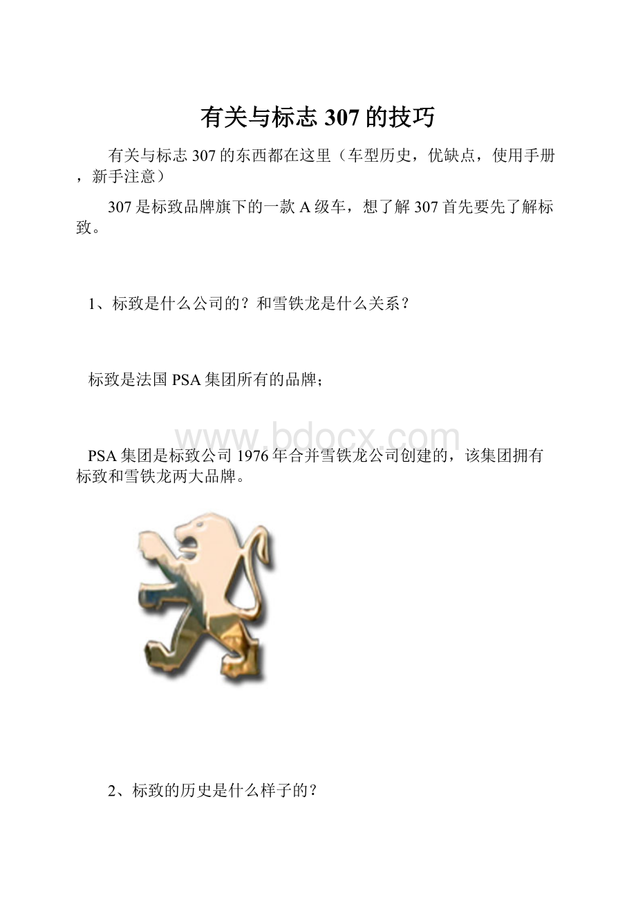 有关与标志307的技巧.docx