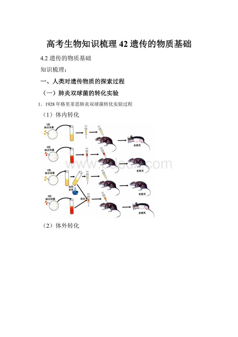 高考生物知识梳理42遗传的物质基础.docx