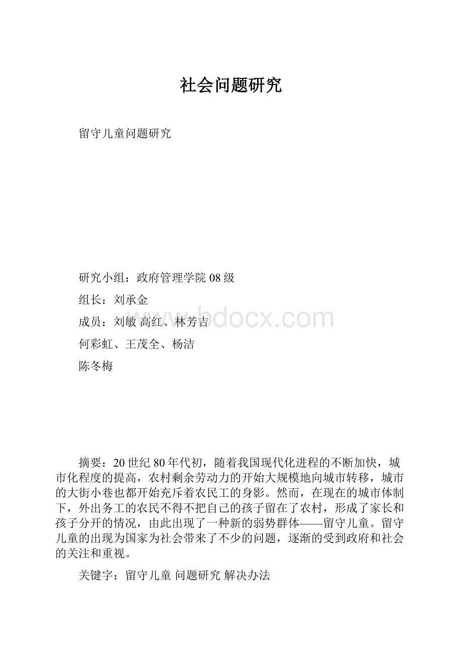 社会问题研究.docx