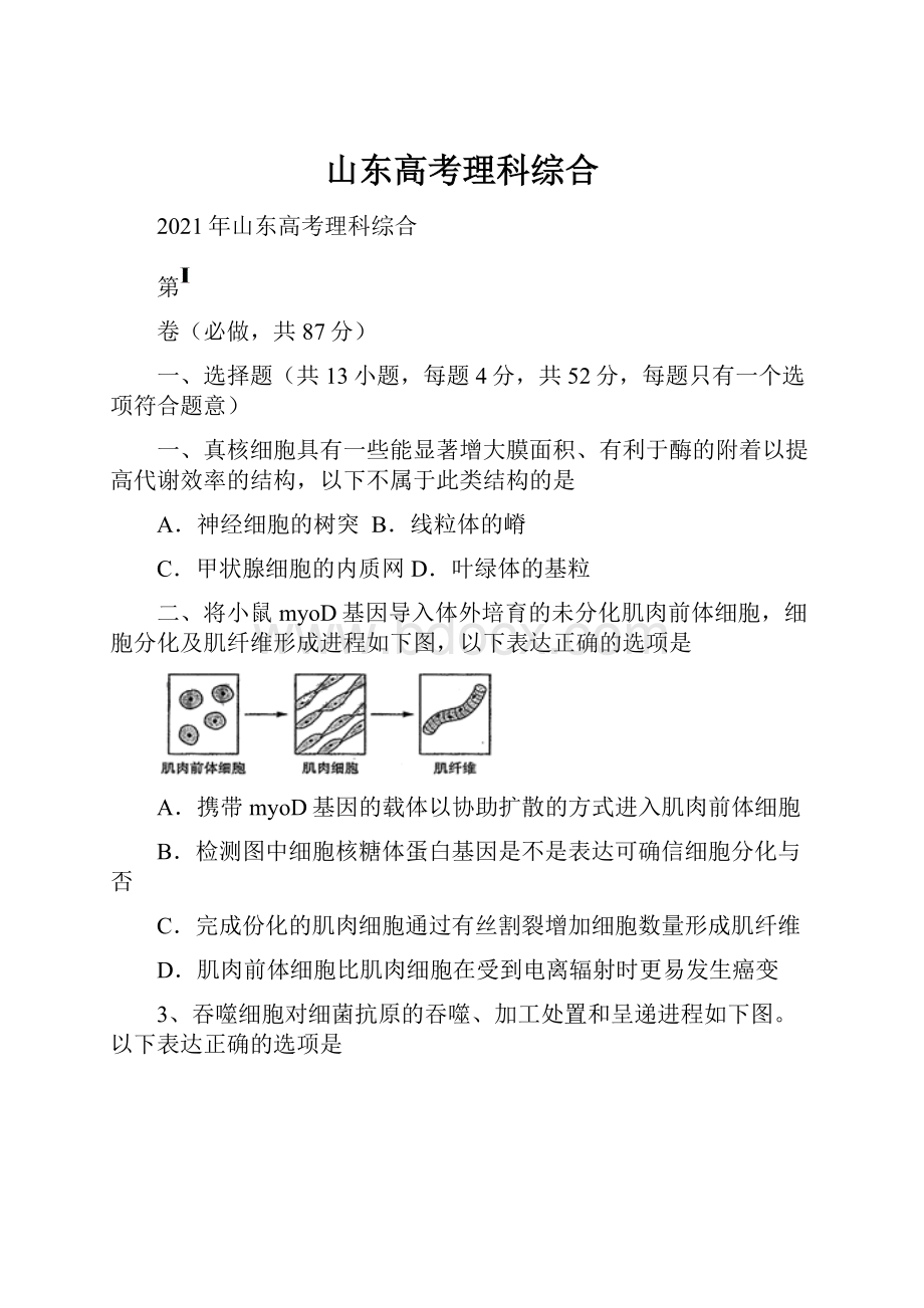 山东高考理科综合.docx