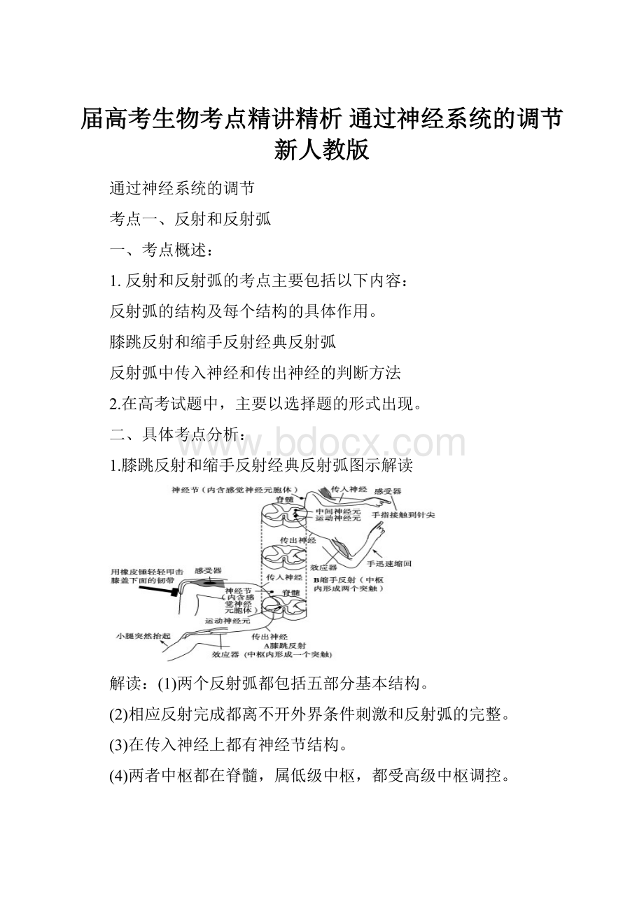 届高考生物考点精讲精析 通过神经系统的调节 新人教版.docx