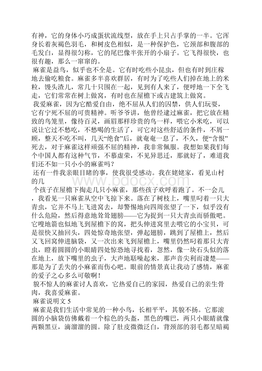 麻雀说明文11篇.docx_第3页