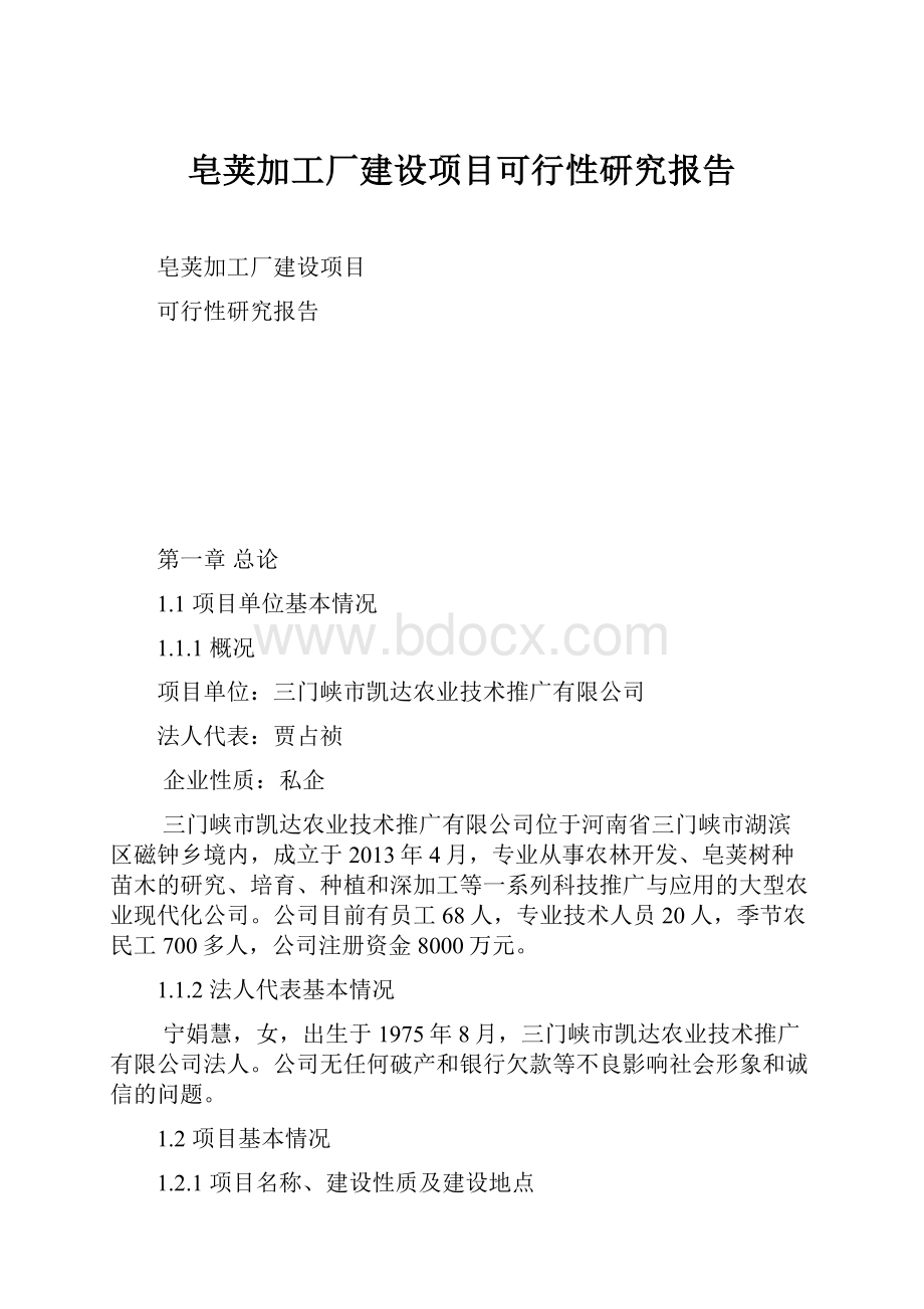 皂荚加工厂建设项目可行性研究报告.docx