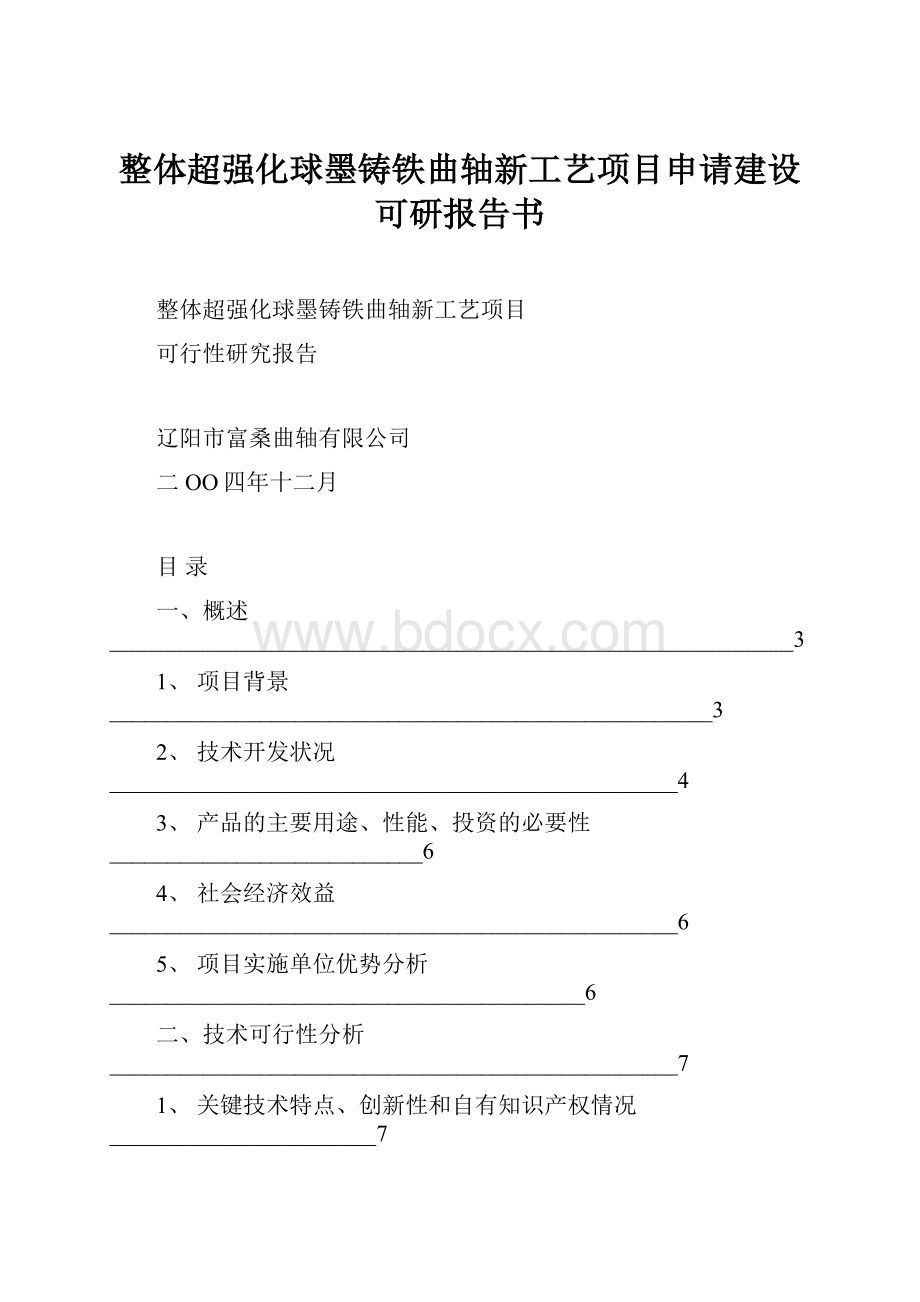 整体超强化球墨铸铁曲轴新工艺项目申请建设可研报告书.docx