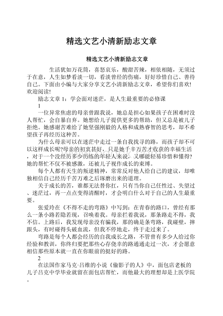 精选文艺小清新励志文章.docx