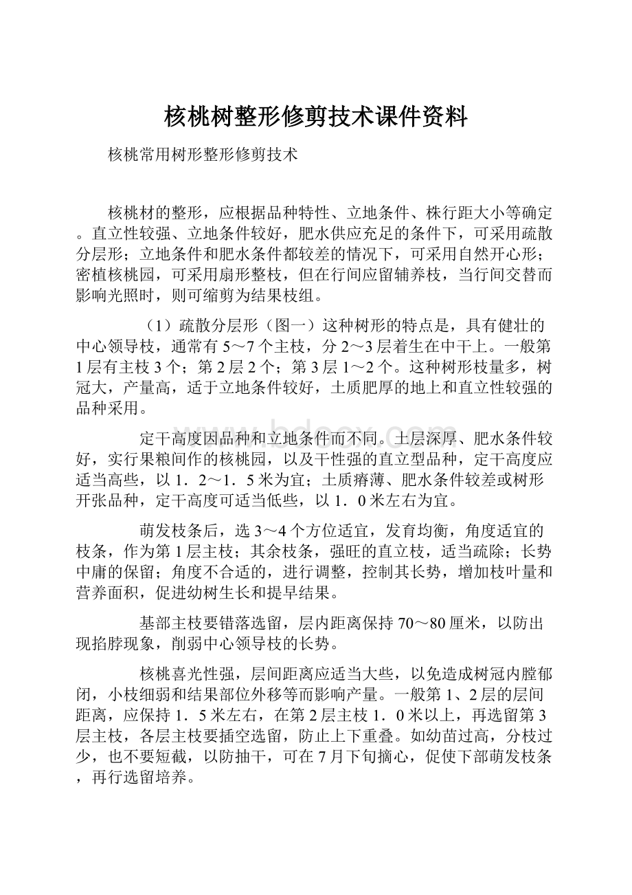 核桃树整形修剪技术课件资料.docx