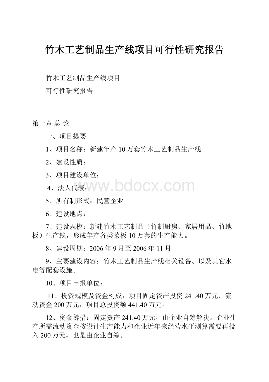 竹木工艺制品生产线项目可行性研究报告.docx