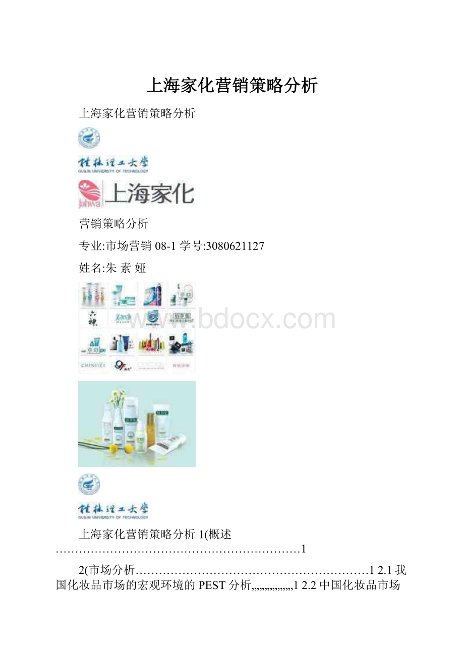 上海家化营销策略分析.docx