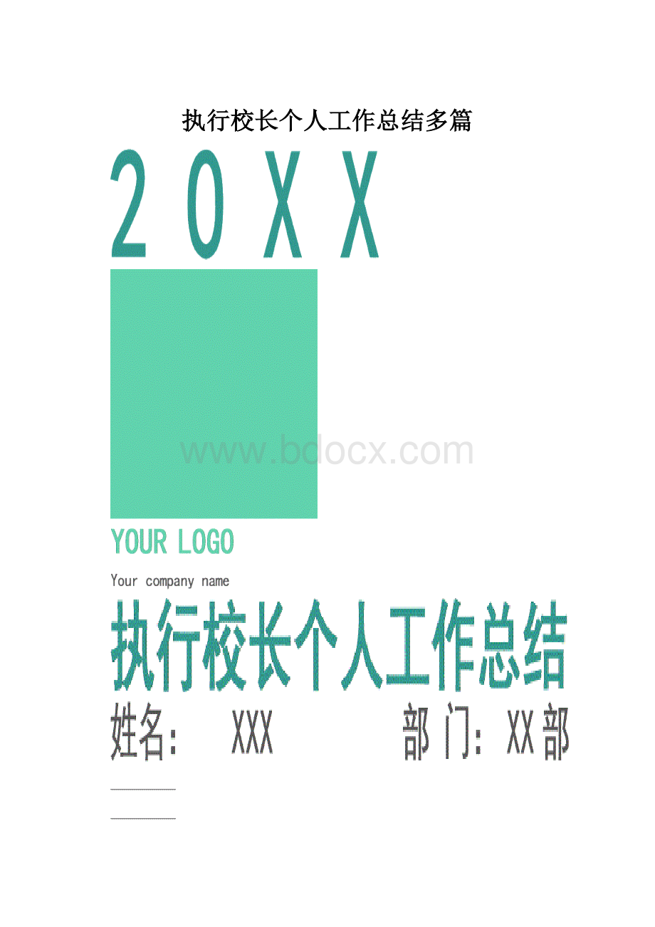 执行校长个人工作总结多篇.docx