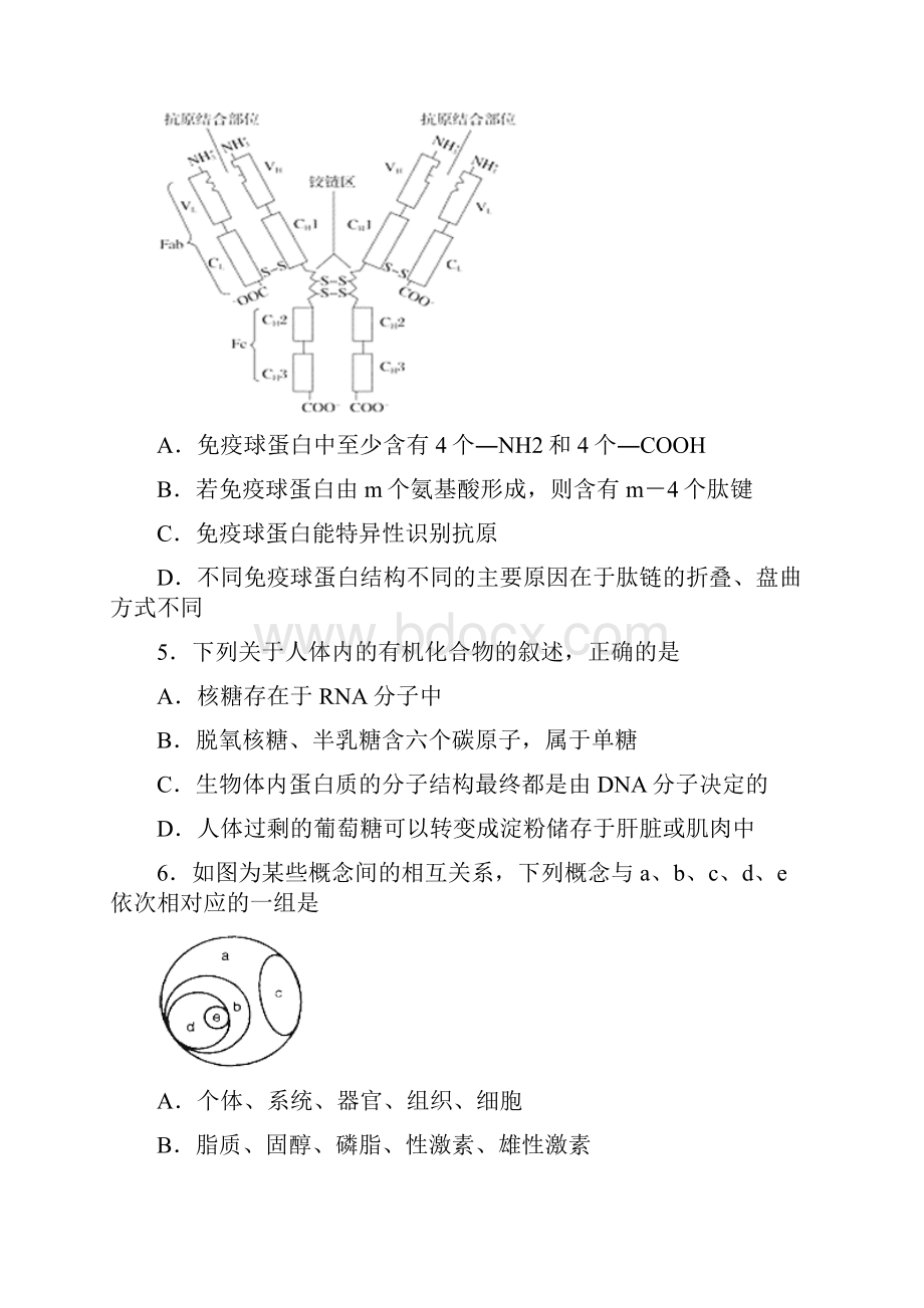 届名师联盟高三第一次调研考试 生物四.docx_第3页