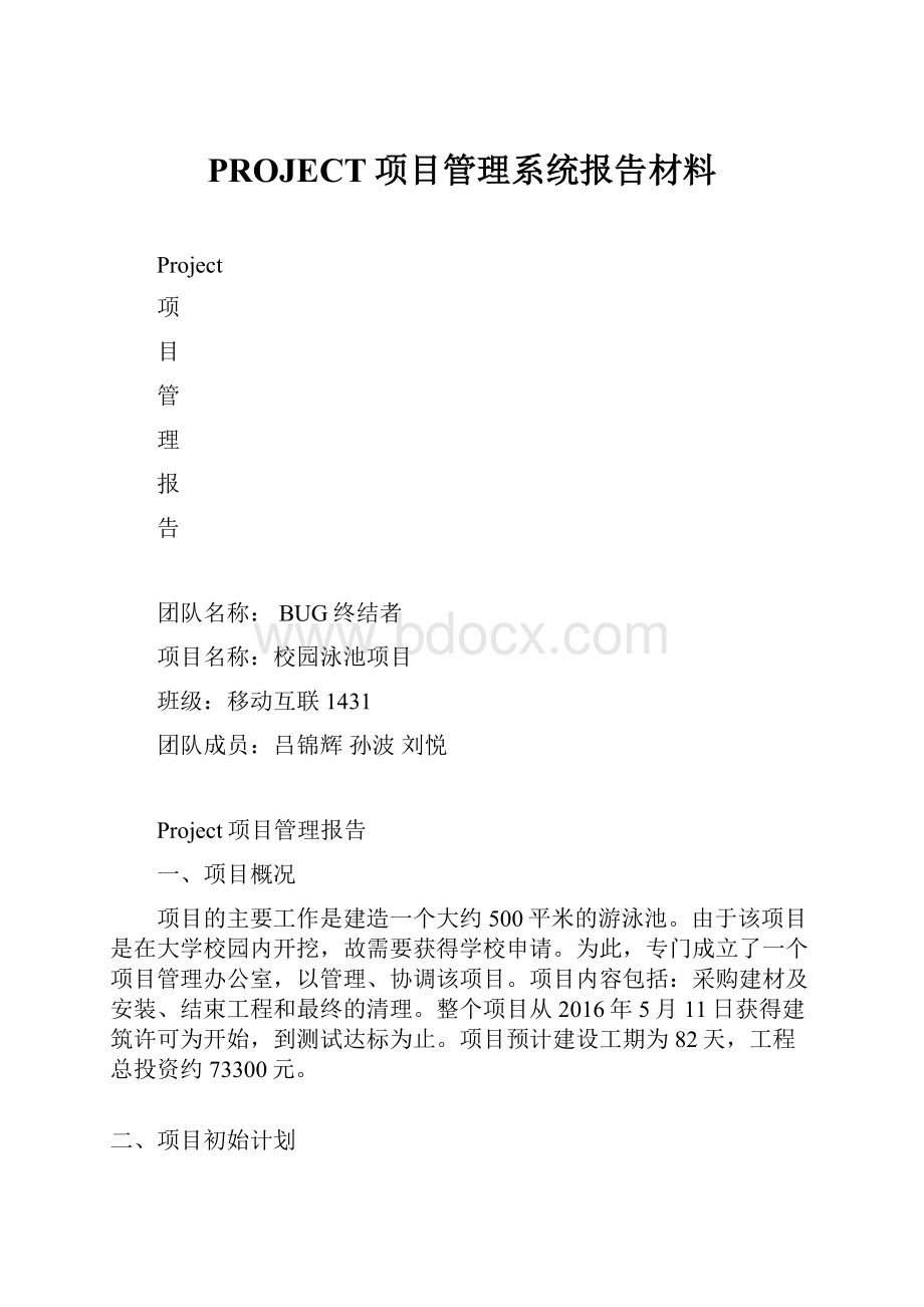 PROJECT项目管理系统报告材料.docx