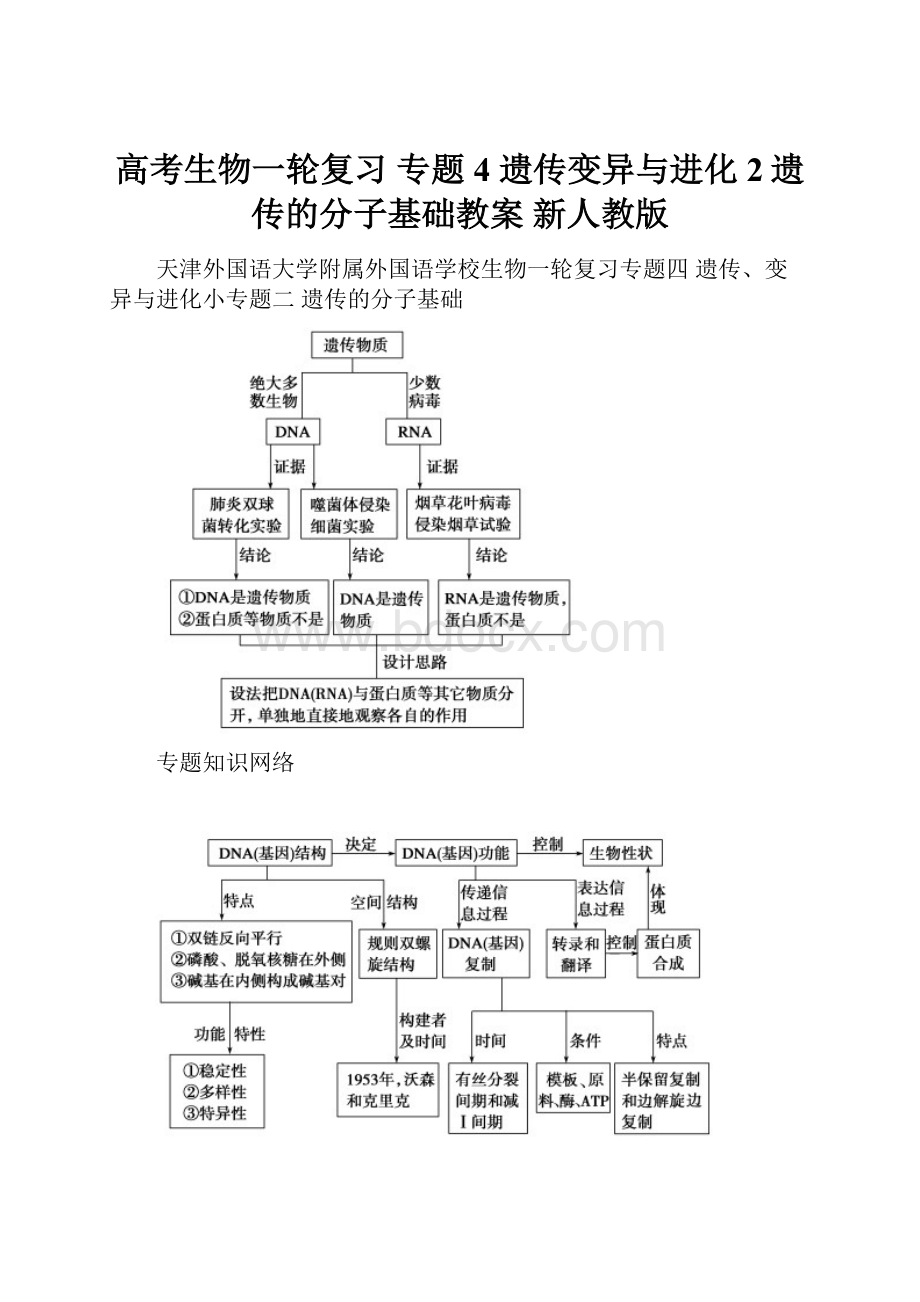 高考生物一轮复习 专题4 遗传变异与进化2遗传的分子基础教案 新人教版.docx_第1页