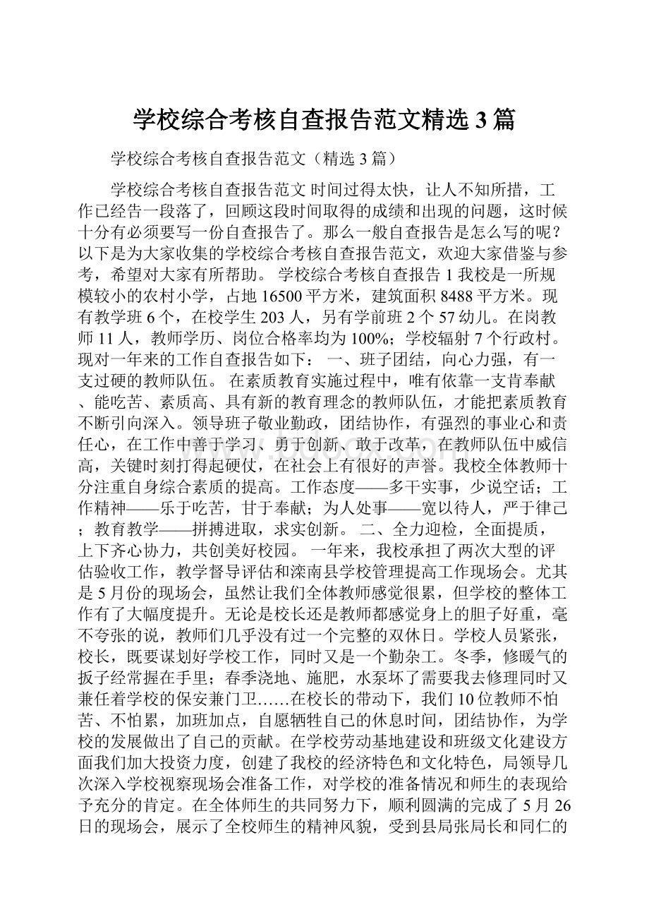 学校综合考核自查报告范文精选3篇.docx