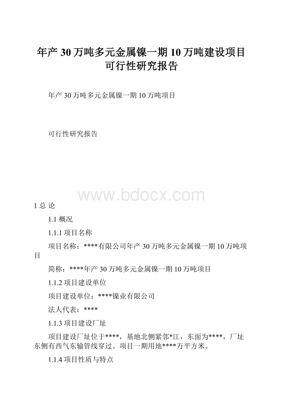 年产30万吨多元金属镍一期10万吨建设项目可行性研究报告.docx