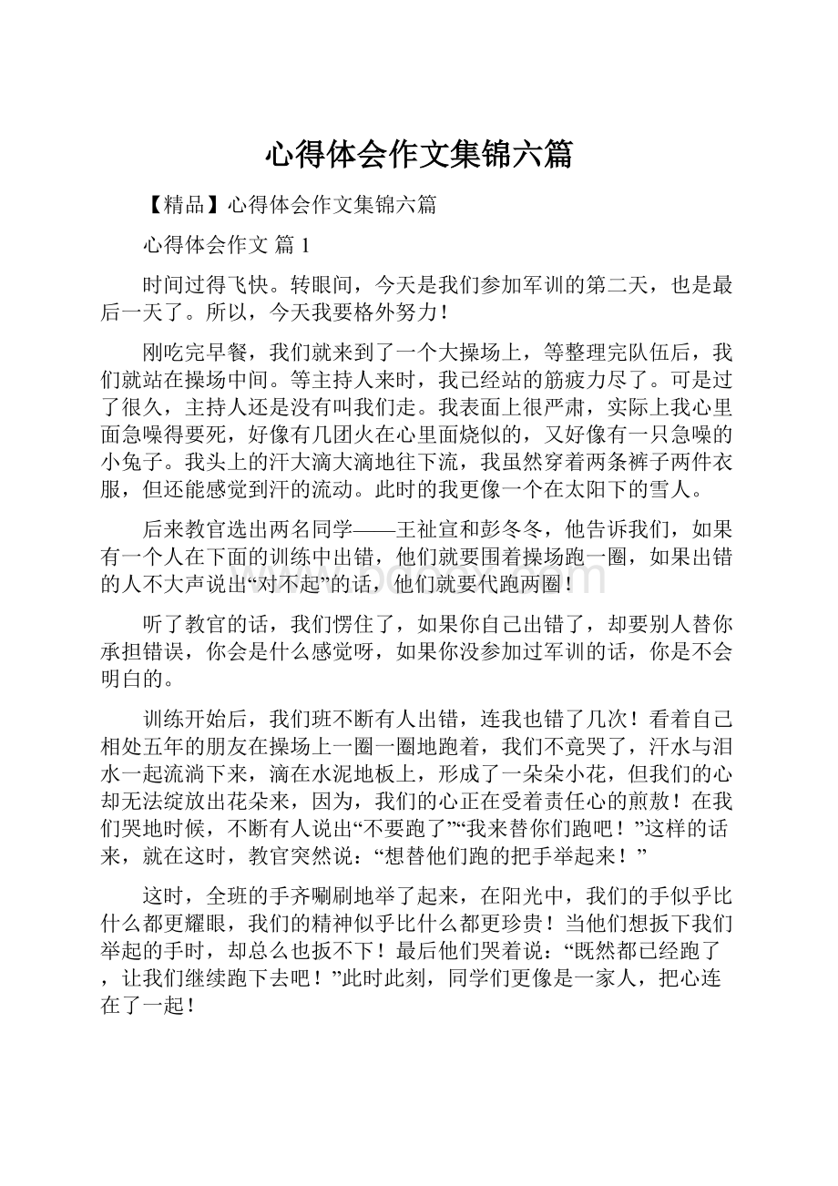 心得体会作文集锦六篇.docx