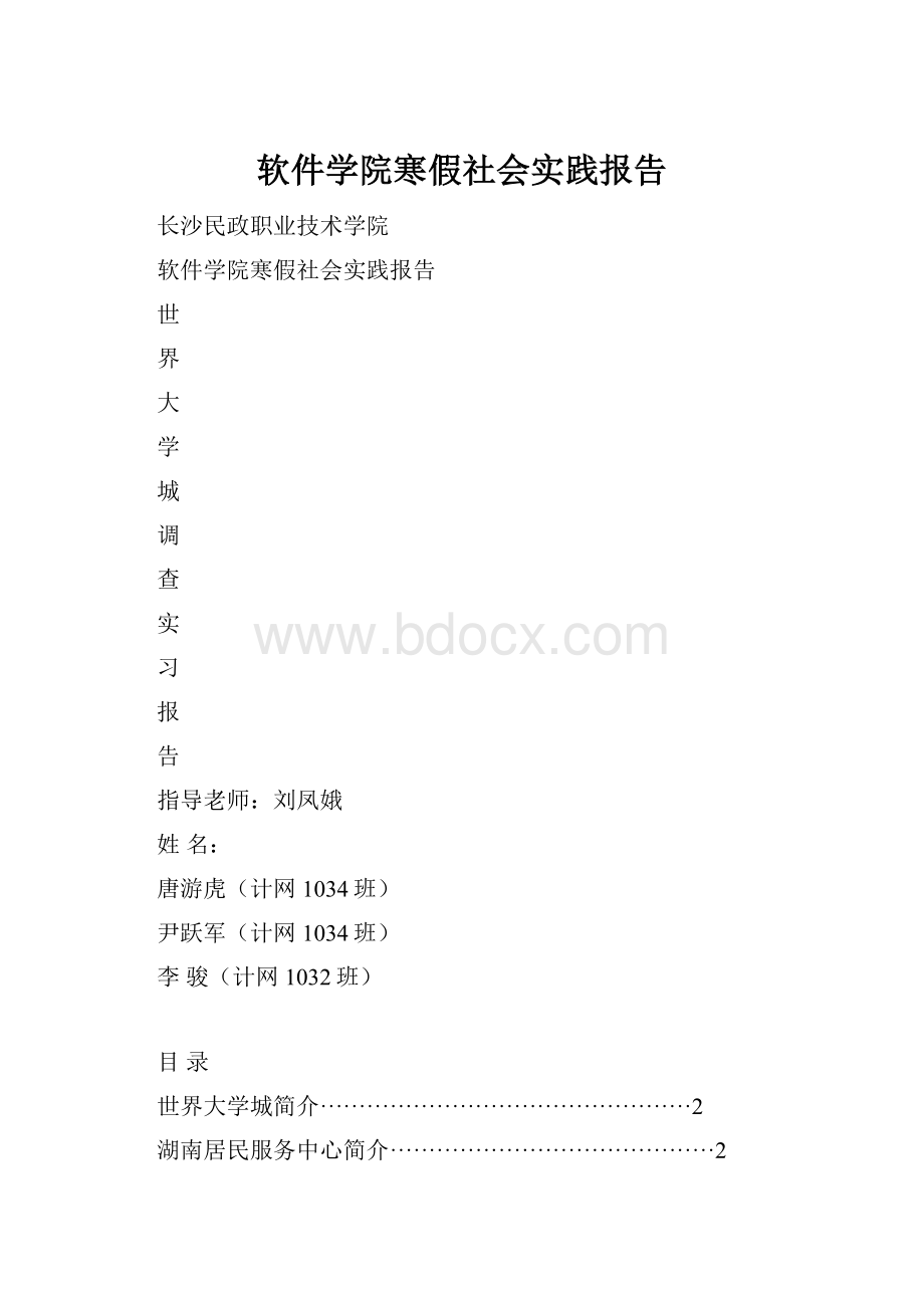 软件学院寒假社会实践报告.docx