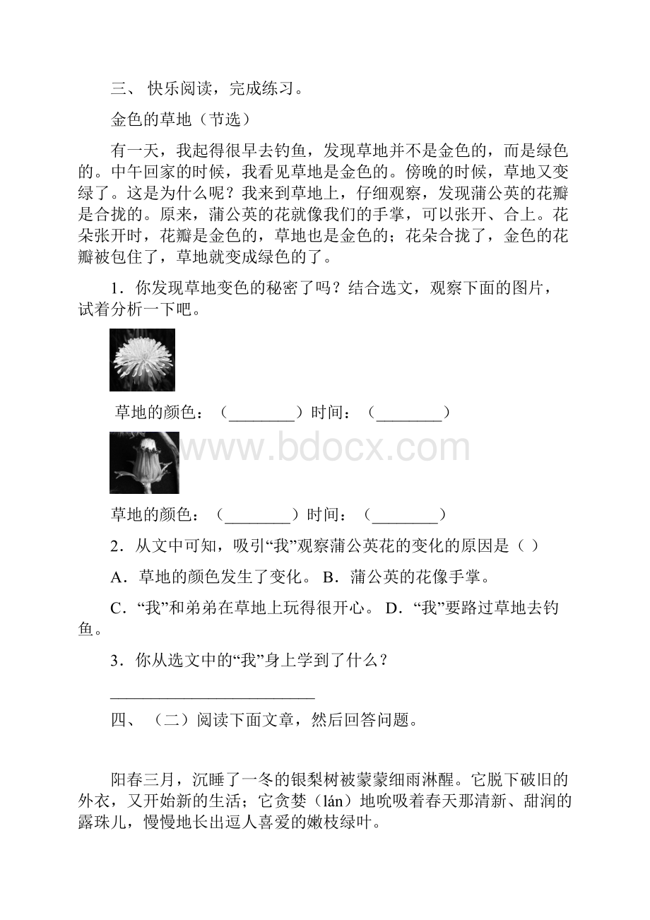 部编版三年级上册语文短文阅读专项练习及答案.docx_第3页