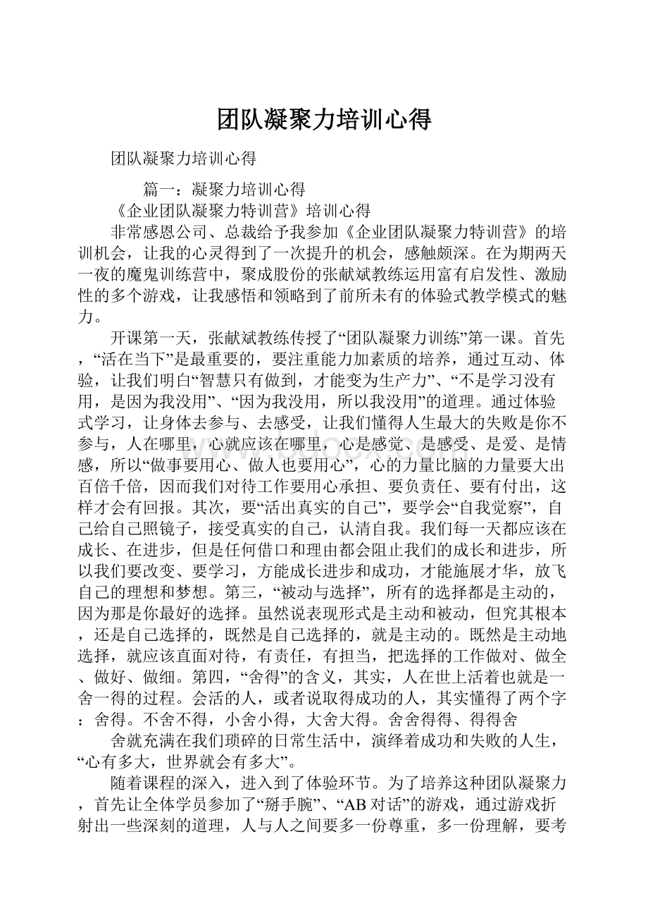 团队凝聚力培训心得.docx_第1页