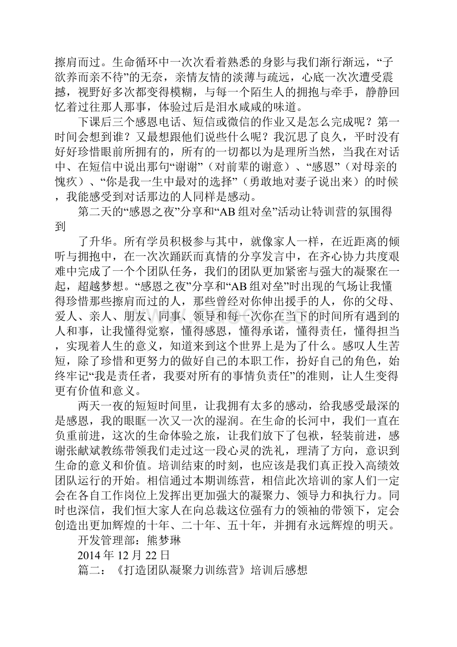 团队凝聚力培训心得.docx_第3页