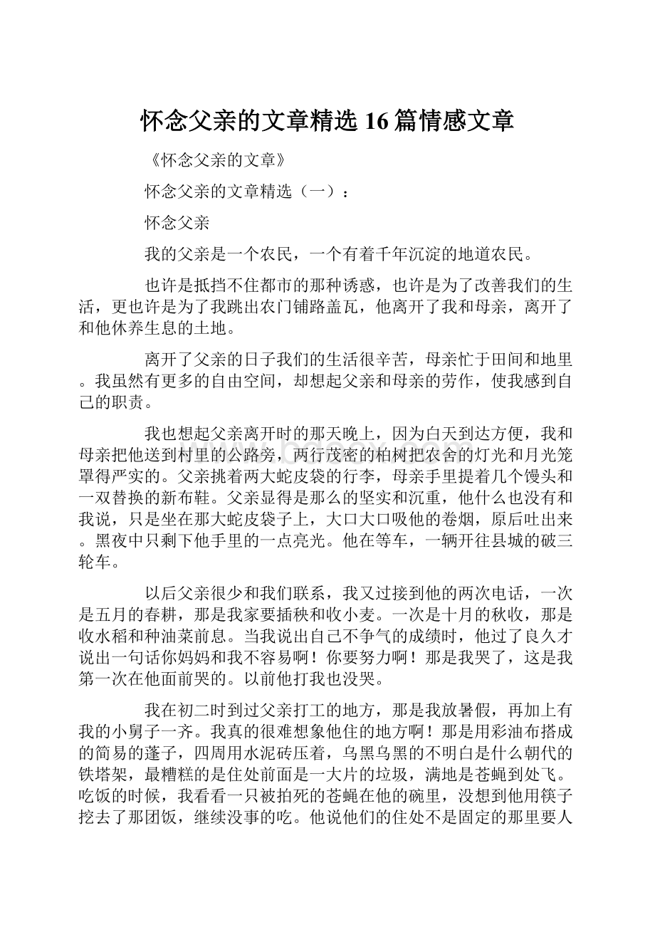 怀念父亲的文章精选16篇情感文章.docx