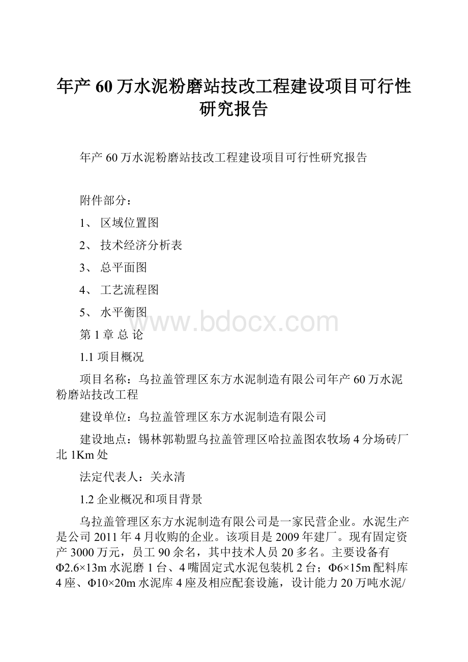 年产60万水泥粉磨站技改工程建设项目可行性研究报告.docx_第1页