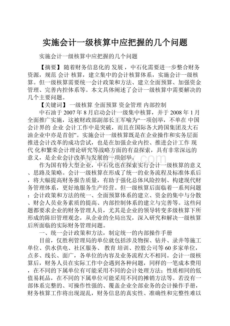 实施会计一级核算中应把握的几个问题.docx