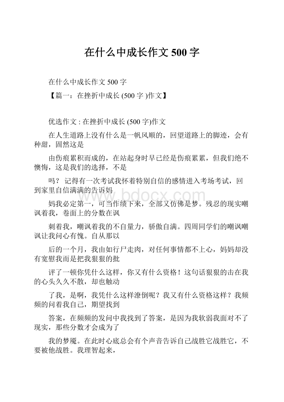 在什么中成长作文500字.docx