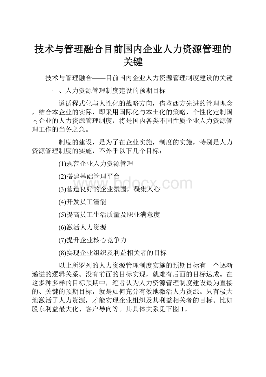 技术与管理融合目前国内企业人力资源管理的关键.docx