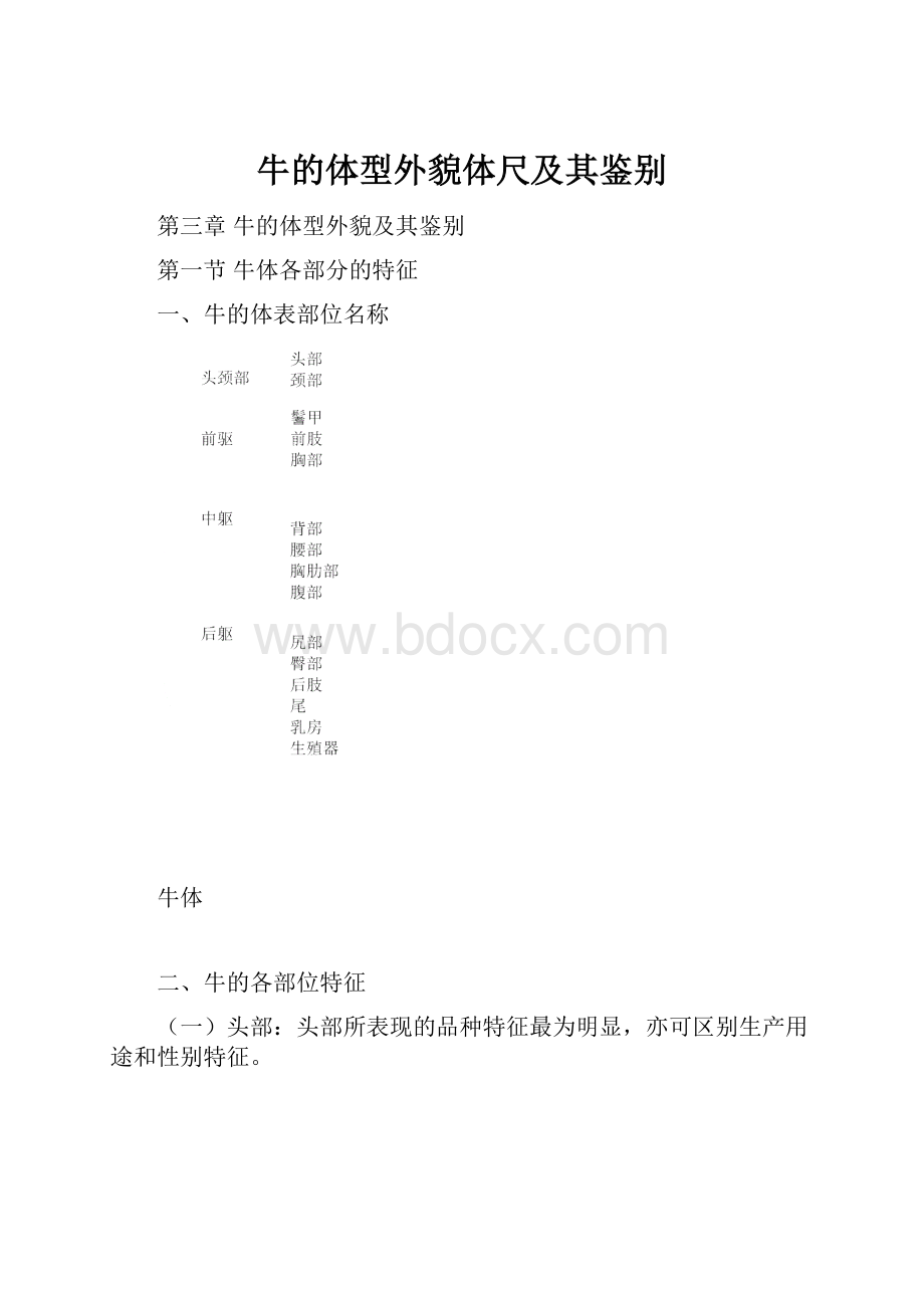 牛的体型外貌体尺及其鉴别.docx