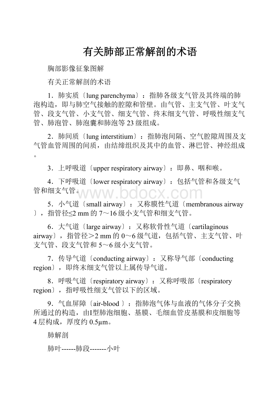 有关肺部正常解剖的术语.docx_第1页